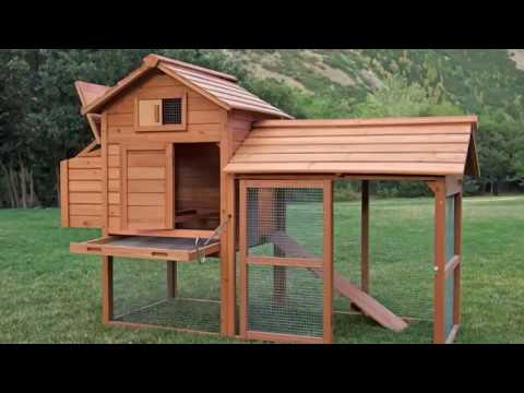 Woodworking Projects Ideas | DIY Wood Projects | Chicken Houses
