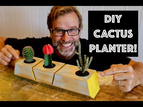 Scrap Wood Projects for Beginners. Make a Simple Cactus Planter!