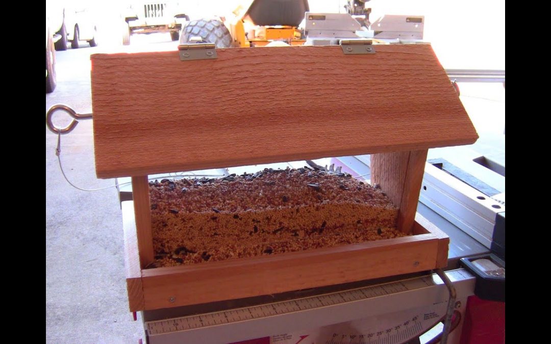How to Build a Bird Feeder – Small DIY woodworking project